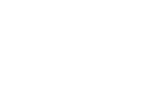 Instituto Connect