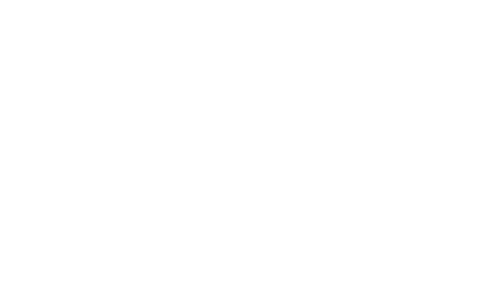 Nydus