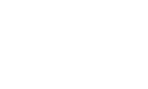 TotalPass