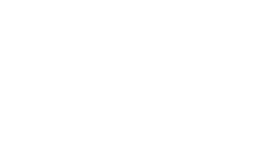 Qibit